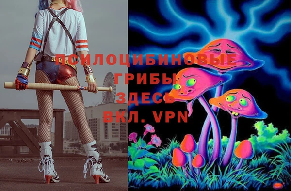 ПСИЛОЦИБИНОВЫЕ ГРИБЫ Ростов