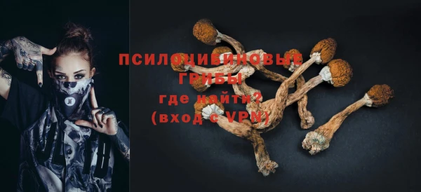 2c-b Россошь