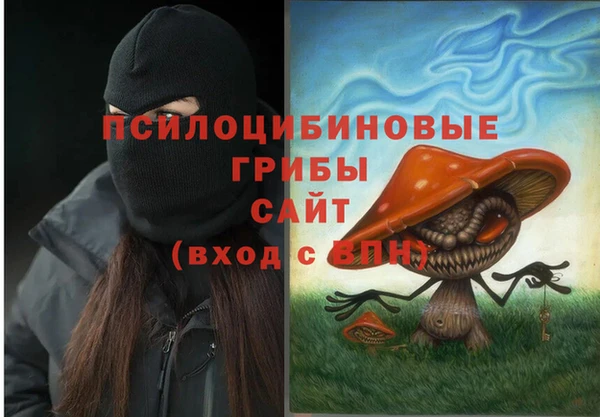 mdma Новозыбков