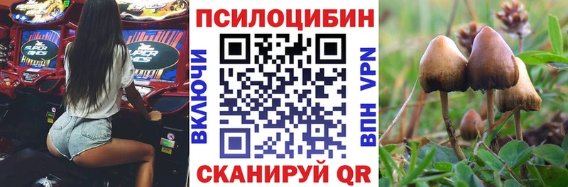 где найти   Коркино  Псилоцибиновые грибы ЛСД 