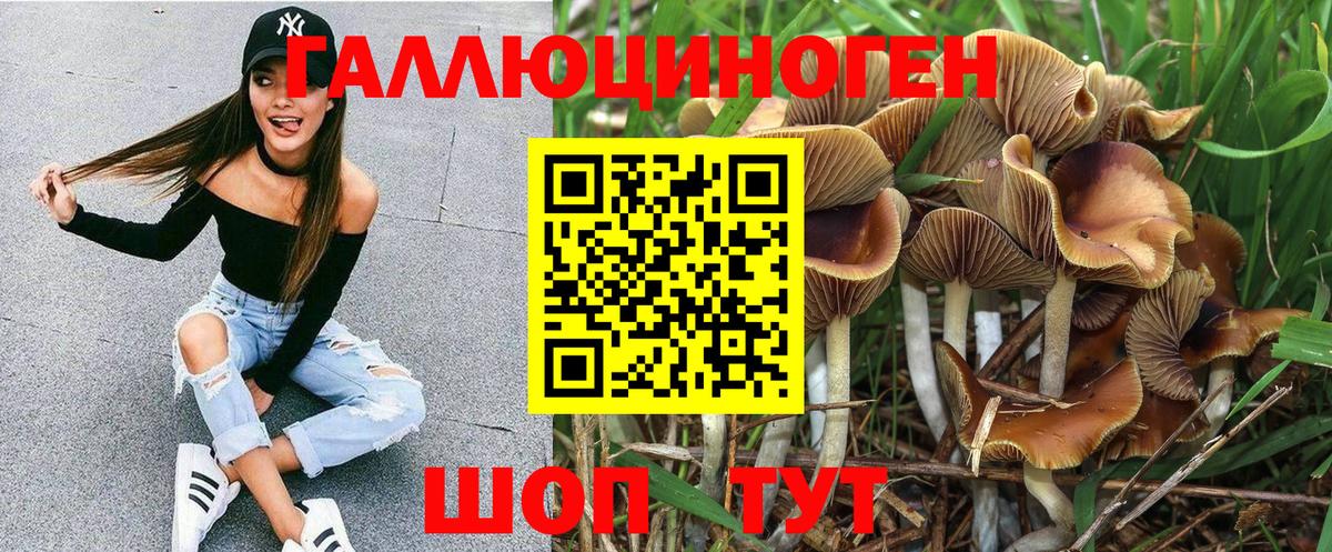 Галлюциногенные грибы GOLDEN TEACHER Коркино