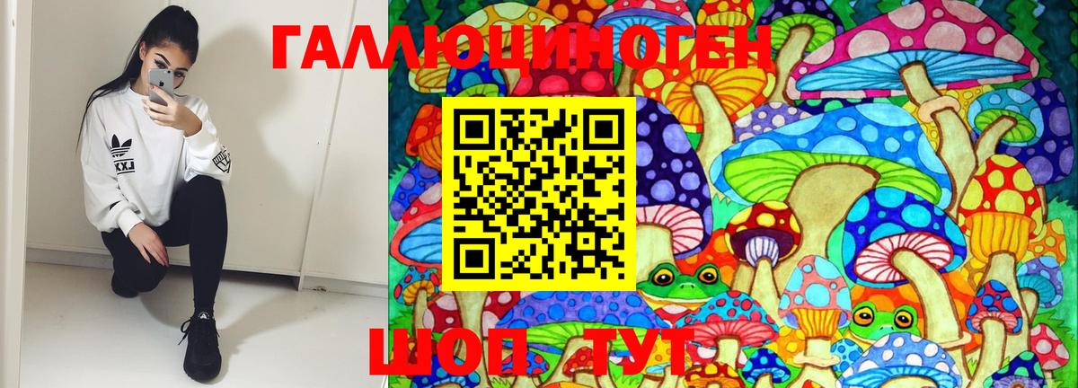 Псилоцибиновые грибы MAGIC MUSHROOMS Коркино