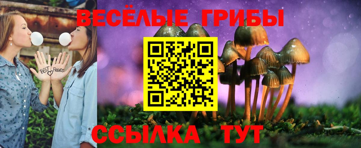 Псилоцибиновые грибы Psilocybe  Псилоцибиновые грибы мухоморы  Коркино  Вход с VPN 